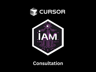 Curser AI Consultation Advantages and Capabilities